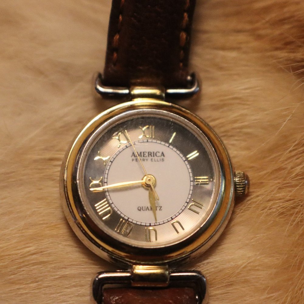 Perry Ellis America Ladies Watch